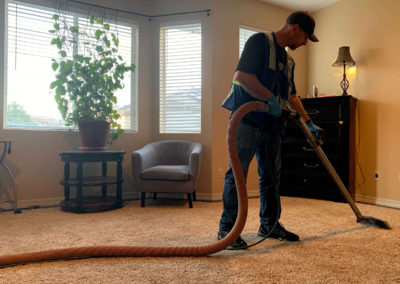 Carpet Cleaner