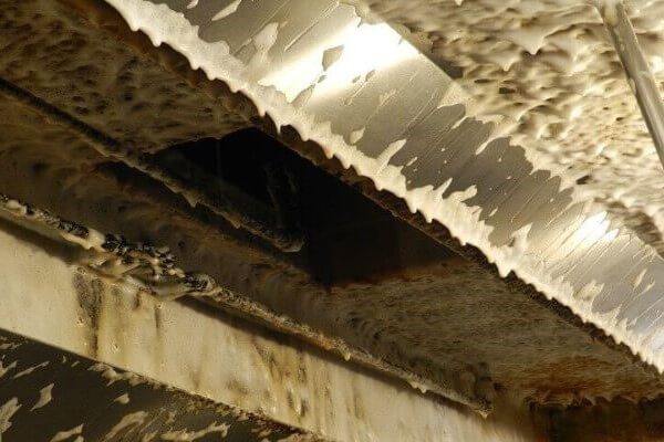 Foaming degreaser applied to restaurant kitchen exhaust hood during commercial hood cleaning process by PowerWash Pro technicians.